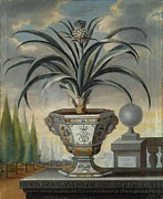 Ananasvaxt Painting by David Von Coln
