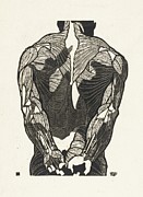 Anatomische Studie Van De Rugspieren Van Een Man Painting by Reijer Stolk Anatomische Studie Van De Rugspieren Van Een Man Painting by Reijer Stolk