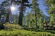 Angora Lakes California Sun Photograph by Anthony Giammarino Angora Lakes California Sun Photograph by Anthony Giammarino