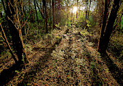 Appalachia Morning Photograph by Scott Cordell