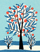 Apple tree in winter Drawing by CSA Images