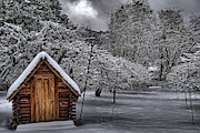 Apple Trees in the Snow Photograph by Alex Morales Apple Trees in the Snow Photograph by Alex Morales