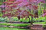 Arboretum Resting Place Photograph by Allen Nice-Webb Arboretum Resting Place Photograph by Allen Nice-Webb
