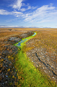 Arctic Tundra With Frost-wedging Features Caused By Photograph by Jenny E. Ross / Naturepl.com Arctic Tundra With Frost-wedging Features Caused By Photograph by Jenny E. Ross / Naturepl.com