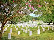 Arlington Cemetery 1 Photograph by Jill Love