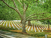 Arlington Cemetery 2 Photograph by Jill Love