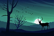 Aurora Borealis Sky and Wildlife  Photograph by Andrea Kollo