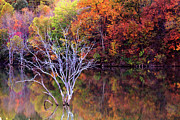 Autumn at Alum Creek Photograph by Angela Murdock