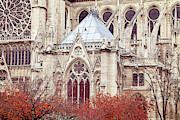 Autumn at Notre Dame de Paris Photograph by Melanie Alexandra Price