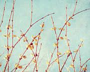 Autumn Branches Photograph by Lupen Grainne