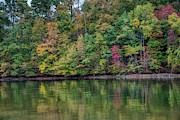 Autumn Color at Lake Norman State Park Photograph by Amy Dundon
