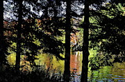 Autumn Colors at the Spa  Photograph by Andrea Kollo