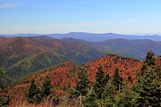 Autumn Coming Photograph by Allen Nice-Webb Autumn Coming Photograph by Allen Nice-Webb