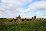 Autumn Corn Shocks Photograph by Brook Burling