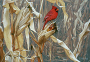 Autumn Cornfield - Cardinal Painting by Ron Parker