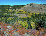Autumn Hills Of Boulder County Colorado Photograph by James BO Insogna