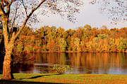 Autumn in Bucks County Photograph by Denise Harty