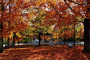 Autumn Morning on Rumney Common Photograph by Jeff Folger