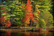 Autumn on Fourth Lake Photograph by Rod Best