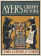 Ayers Cherry Pectorials Painting by Edward Penfield