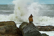 Balancing Act between a Rock and a Hard Place Photograph by Jeff Folger