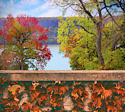 Balustrade Beauty Photograph by Jessica Jenney
