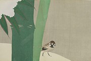Bamboo In Snow Painting by Kamisaka Sekka