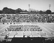 Band And Cheerleaders - Musical Band Photograph by North Carolina Central University