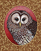 Barred Owl Portrait - Brown Border Painting by Amy E Fraser