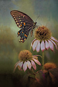 Battered Not Broken Digital Art by Jerry Dalrymple
