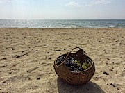 Beach basket Photograph by Martin Smith Beach basket Photograph by Martin Smith