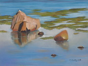 Beach Reflections Pastel by Carol Corliss