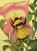 Bee and Flower Drawing by CSA Images Bee and Flower Drawing by CSA Images