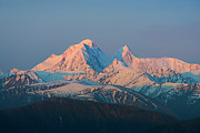 Belukha Mountain, Katun Mountains, Golden Mountains Of Photograph by Olga Kamenskaya / Naturepl.com Belukha Mountain, Katun Mountains, Golden Mountains Of Photograph by Olga Kamenskaya / Naturepl.com