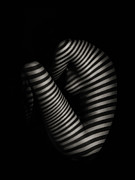 Bended Strings Photograph by Aurimas Valevi?ius