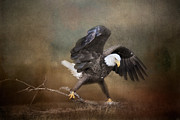 Big Challenges Photograph by Jai Johnson
