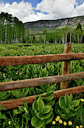 Big Cimarron Ranch Scene Photograph by Ray Mathis