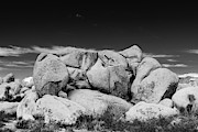 Big Rock Joshua Tree 7407 Photograph by Neptune Images