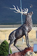 Bird Flying from Stag Deer Statue Photograph by Colleen Cornelius