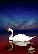 Bird Kingdom  4 Digital Art by Johan Lilja