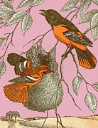 Birds With Nest Drawing by CSA Images Birds With Nest Drawing by CSA Images