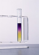 Biuret Test Photograph by Science Photo Library