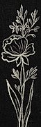 Black Floral IIi Crop Painting by Silvia Vassileva
