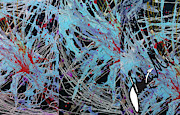 Black Wave Digital Art by Jimmy Williams Black Wave Digital Art by Jimmy Williams
