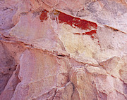Bleeding Rock-H Photograph by Tom Daniel