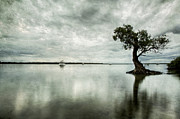 Blue Eve Photograph by Mel Brackstone