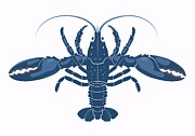 Blue Lobster Illustration Digital Art by Trendy Art