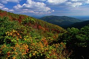 Blue Ridge Mountains Photograph by Design Pics/alan Marsh