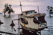 Boat amongst the Mangroves Photograph by Werner Padarin Boat amongst the Mangroves Photograph by Werner Padarin
