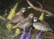 Bobwhite Trio 1 Painting by Trevor V. Swanson